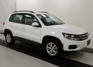 2017 Volkswagen TIGUAN AWD S